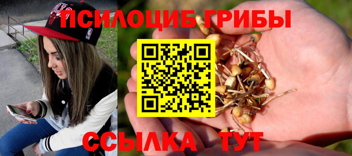 Галлюциногенные грибы GOLDEN TEACHER Городец