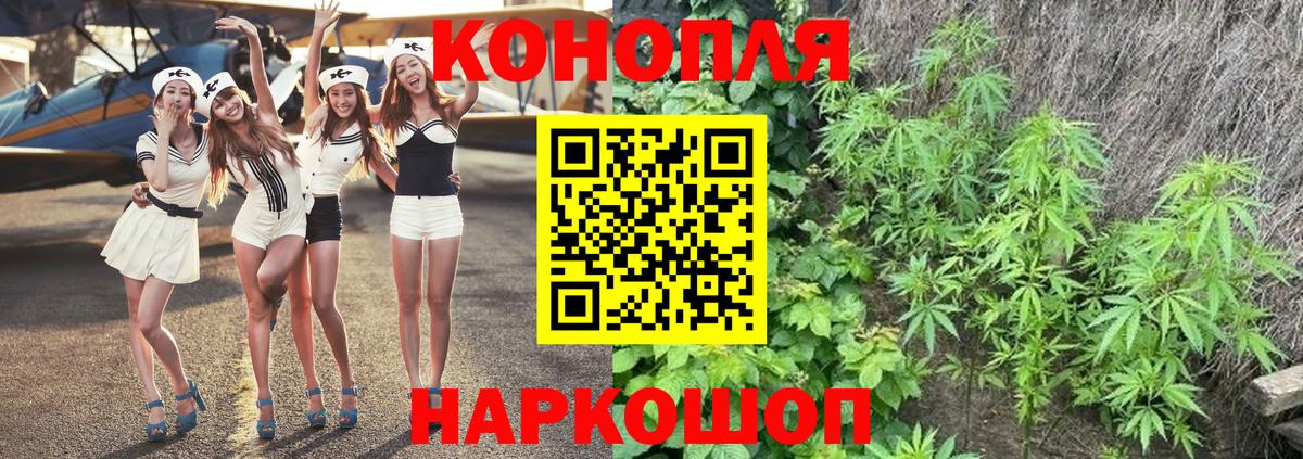 Бошки марихуана LSD WEED  Конопля OG Kush  Вход с VPN  Городец  Бошки Шишки LSD WEED 